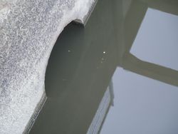 ファイル 1235-1.jpg