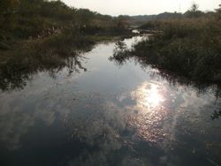 ファイル 1029-1.jpg