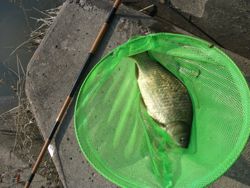 ファイル 1029-2.jpg