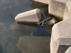 ファイル 1029-3.jpg