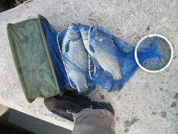 ファイル 1029-4.jpg