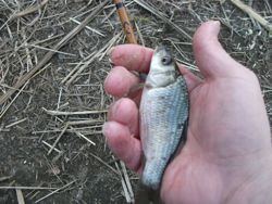 ファイル 1033-2.jpg