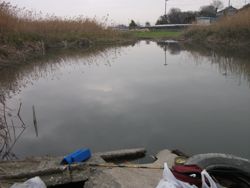 ファイル 1046-1.jpg