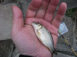 ファイル 1046-4.jpg