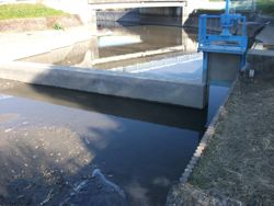 ファイル 1047-1.jpg