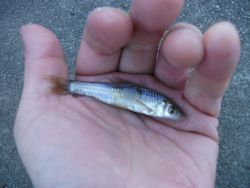 ファイル 1047-2.jpg