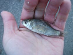 ファイル 1047-4.jpg