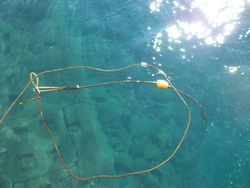 ファイル 1050-1.jpg