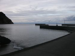 ファイル 1052-5.jpg