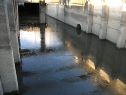 ファイル 1054-1.jpg