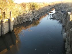 ファイル 1054-2.jpg