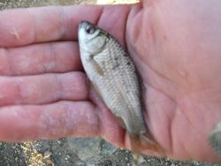 ファイル 1054-3.jpg