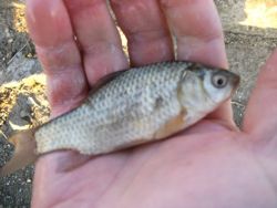 ファイル 1054-4.jpg