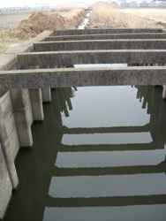 ファイル 1057-1.jpg