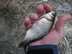 ファイル 1057-2.jpg