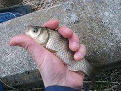 ファイル 1057-3.jpg