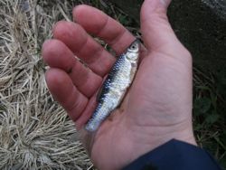 ファイル 1057-4.jpg