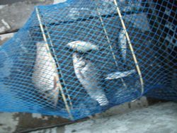 ファイル 1057-5.jpg