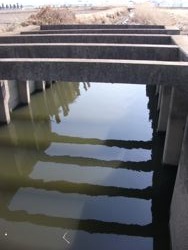 ファイル 1058-1.jpg