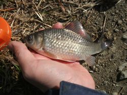 ファイル 1058-2.jpg