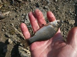 ファイル 1058-3.jpg