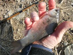 ファイル 1058-4.jpg