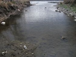 ファイル 1059-1.jpg