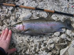 ファイル 1059-2.jpg