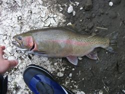 ファイル 1059-3.jpg