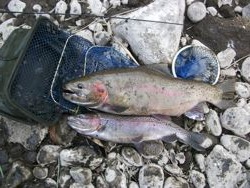 ファイル 1059-4.jpg