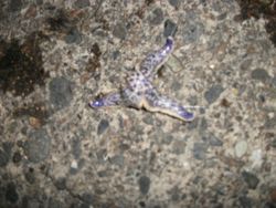 ファイル 1060-2.jpg