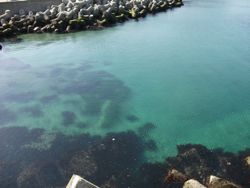 ファイル 1061-4.jpg