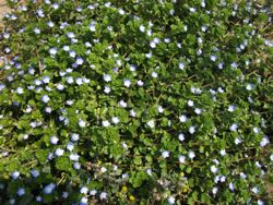 ファイル 1063-1.jpg