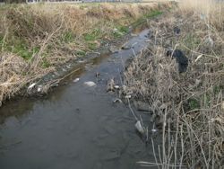 ファイル 1063-2.jpg