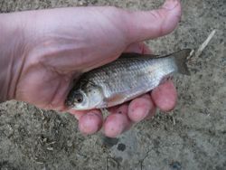 ファイル 1063-4.jpg