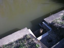 ファイル 1064-1.jpg