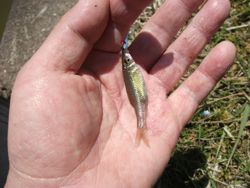 ファイル 1064-2.jpg