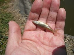 ファイル 1064-3.jpg