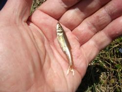 ファイル 1064-4.jpg