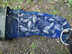 ファイル 1067-5.jpg