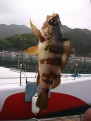 ファイル 1069-3.jpg