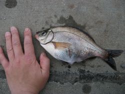 ファイル 1069-4.jpg