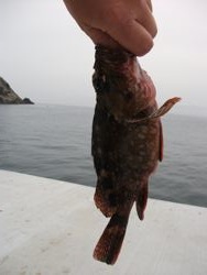 ファイル 1073-1.jpg