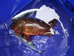 ファイル 1073-5.jpg