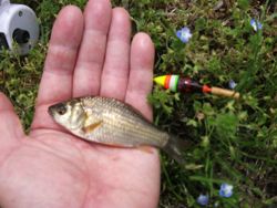 ファイル 1075-2.jpg