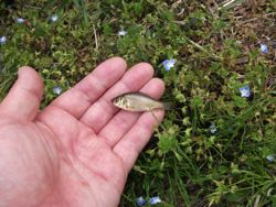 ファイル 1075-3.jpg