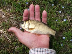 ファイル 1075-4.jpg