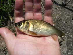 ファイル 1088-2.jpg