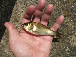 ファイル 1088-3.jpg