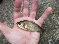 ファイル 1088-4.jpg